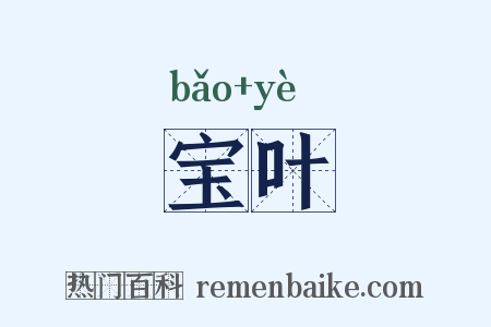 宝叶是什么意思的图片